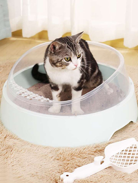 What do you need to know about a litter box for a cat?