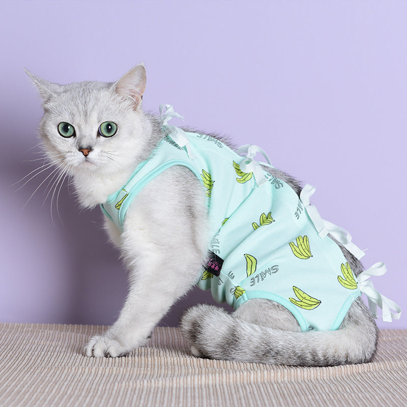 Clothes For Cats