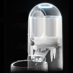 Automatic Feeder