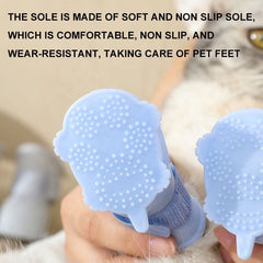 Dog Rain Boots