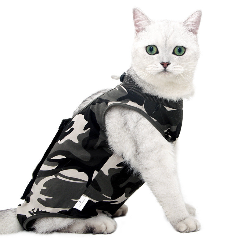 Clothes for cats