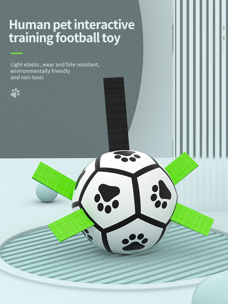 Dog Training Football