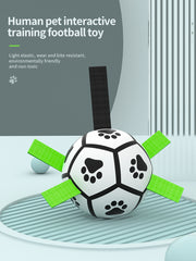 Dog Training Football