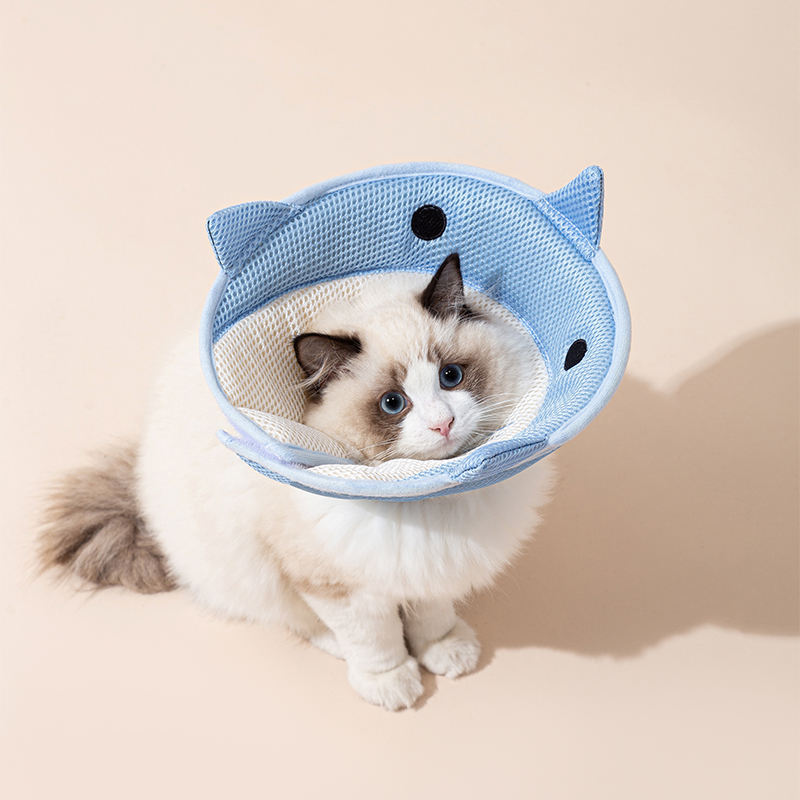 Soft collar for a cat