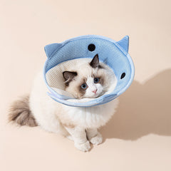 Soft collar for a cat