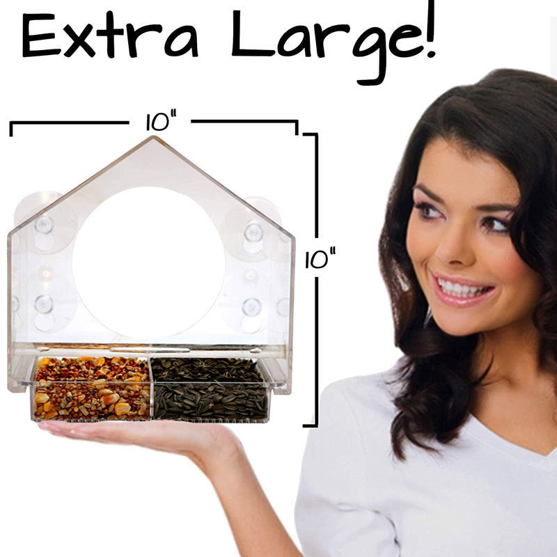 Bird Feeder