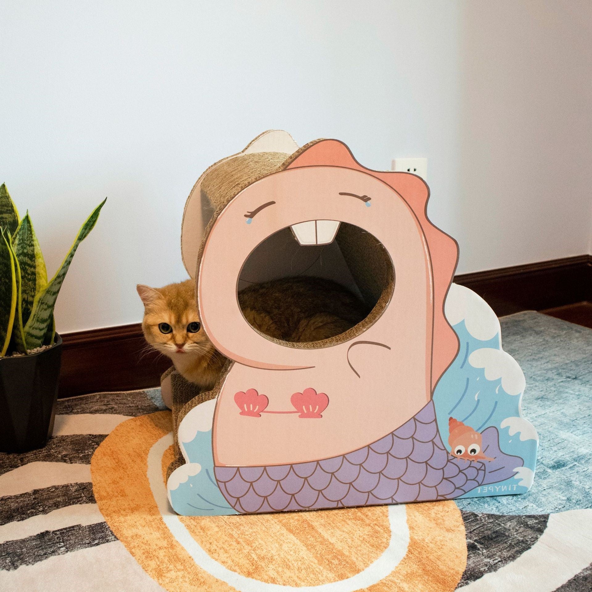 Cat Scratching Board