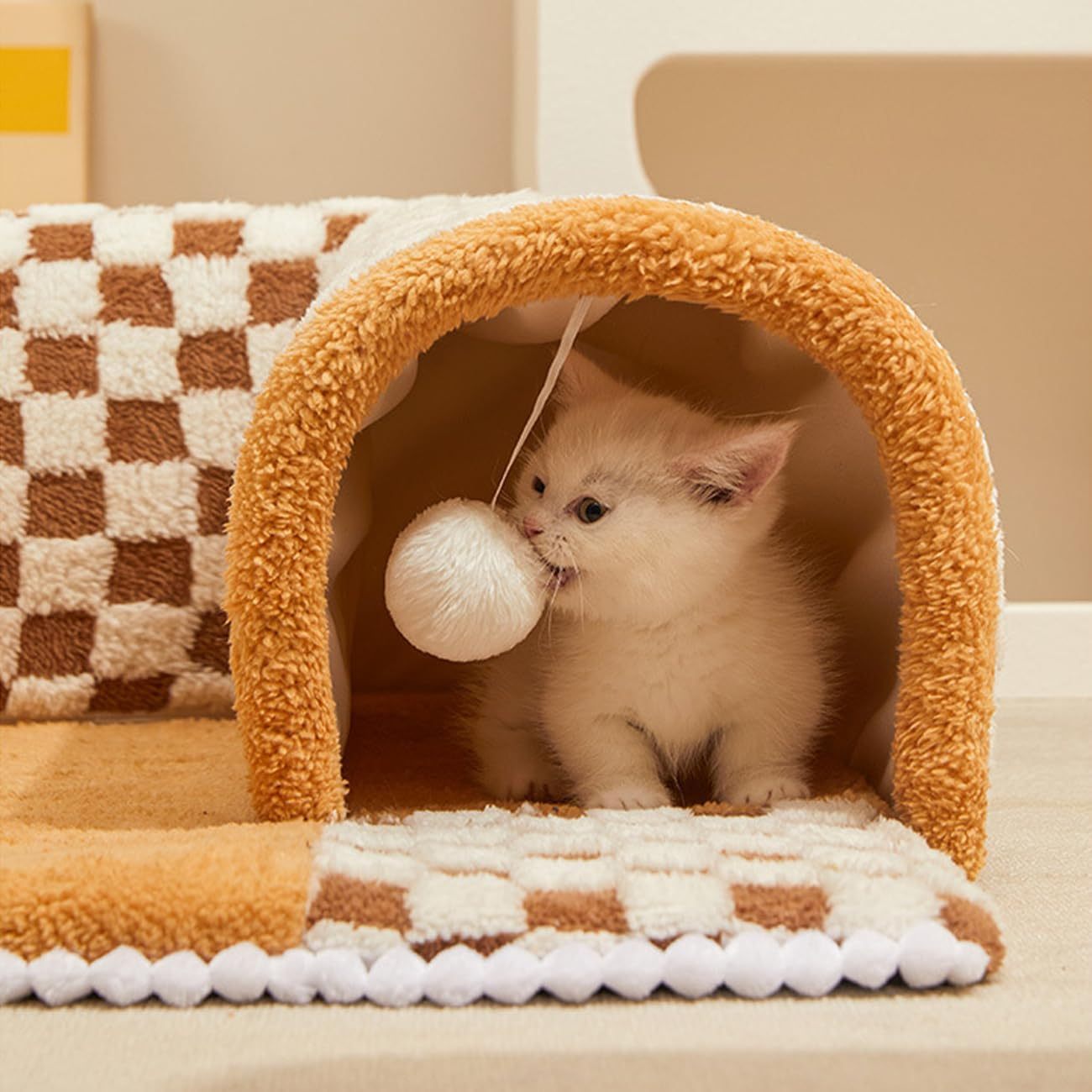 Cat Tunnel