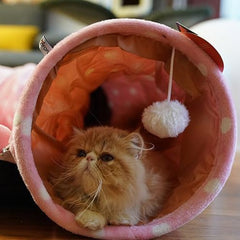 cat tunnel