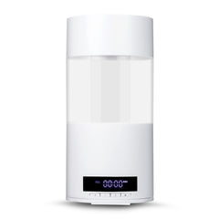 Automatic fish feeder