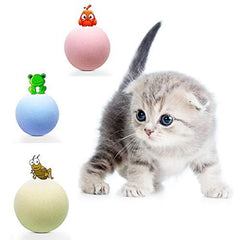 Play ball for the cat