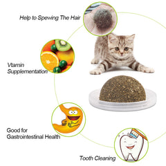 Catnip Ball