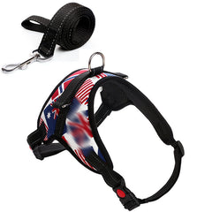 Leashes and collars