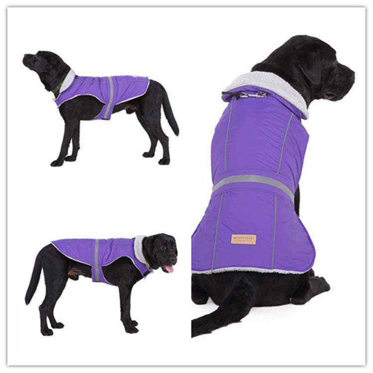 Pet clothes