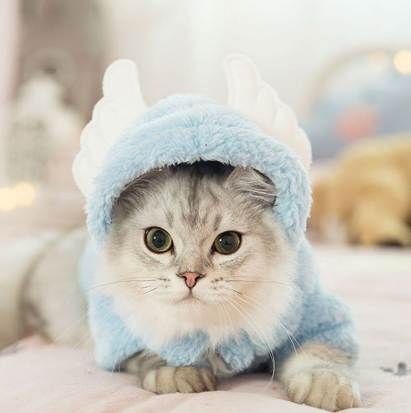 Cat clothes