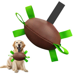 Dog Rugby Football
