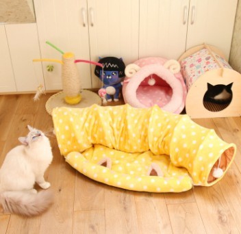 cat tunnel