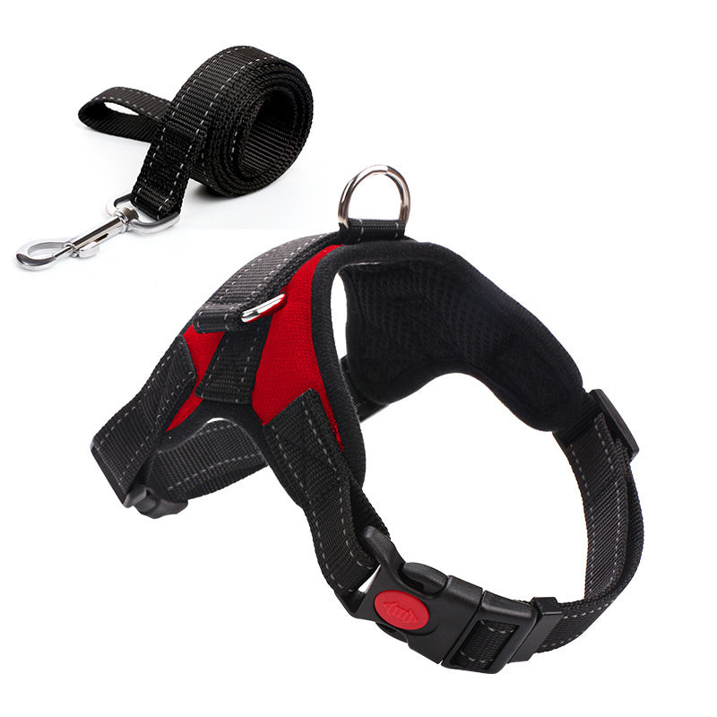 Leashes and collars