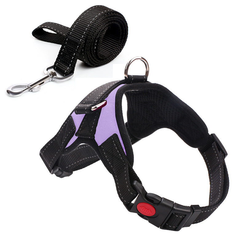 Leashes and collars
