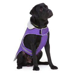 Pet clothes
