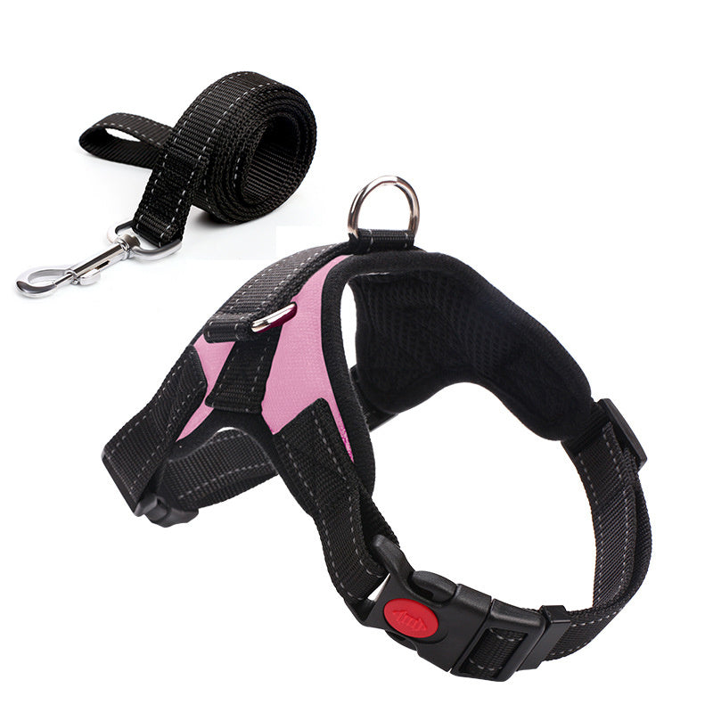 Leashes and collars