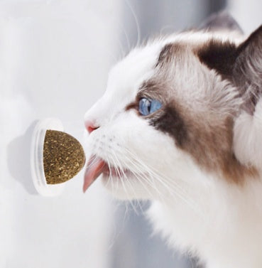 Catnip Ball