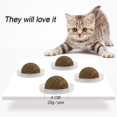 Catnip Ball