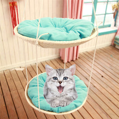 cat climbing frame