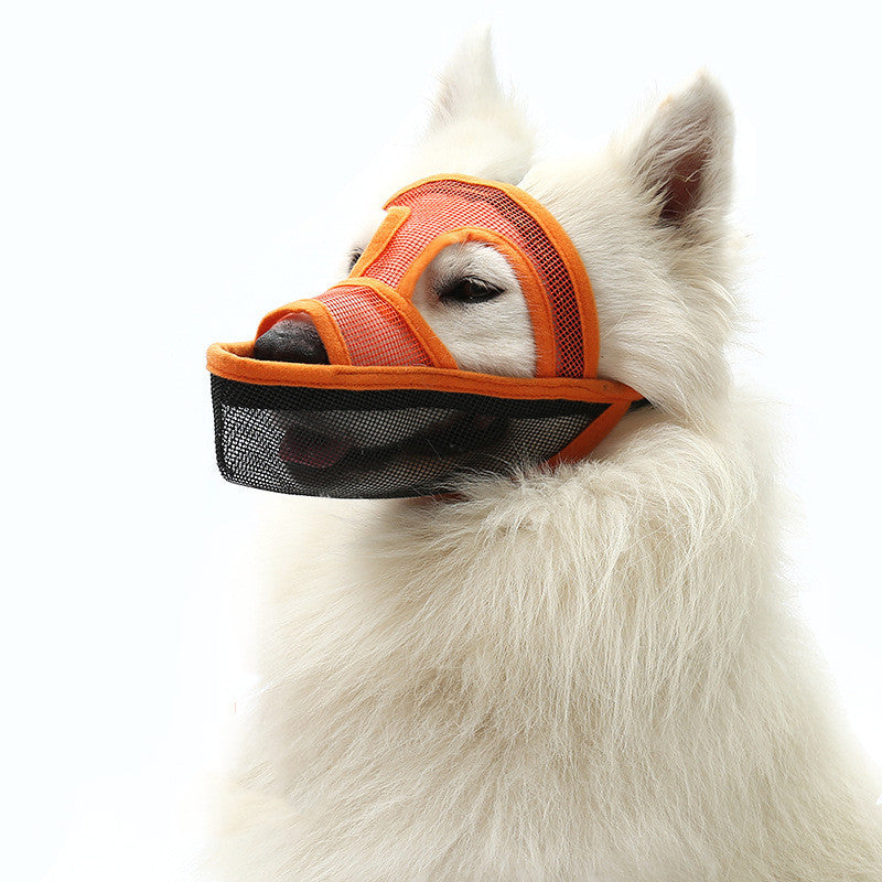 Anti-bite mask