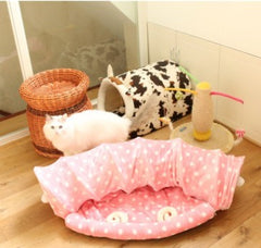 cat tunnel