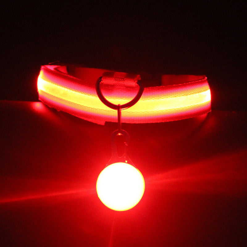 Pet Collar