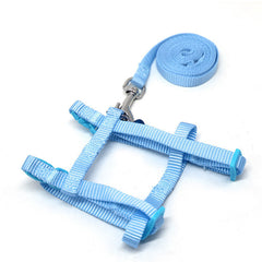 Small Pet Traction Rope