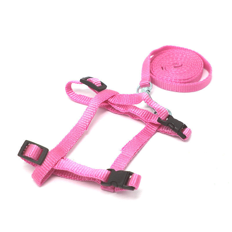 Small Pet Traction Rope