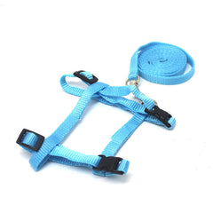 Small Pet Traction Rope