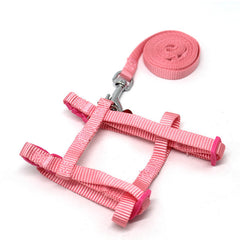 Small Pet Traction Rope