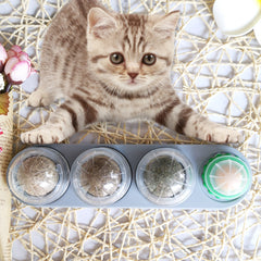 Catnip Ball
