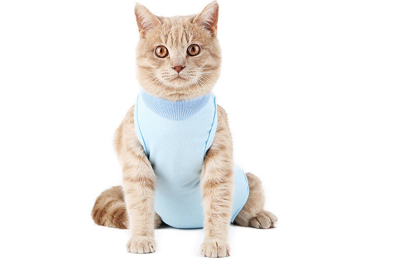 Clothes For Cats