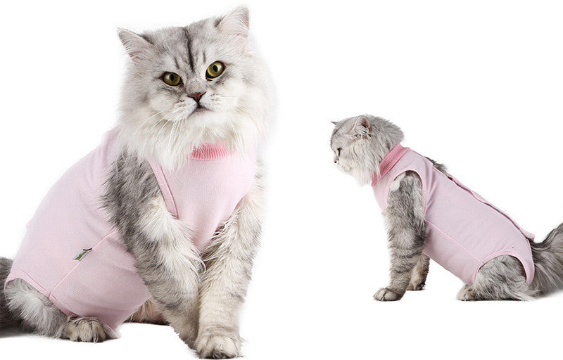Clothes For Cats