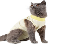 Clothes For Cats