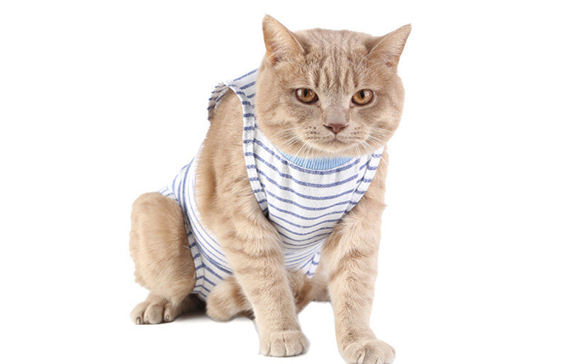 Clothes For Cats