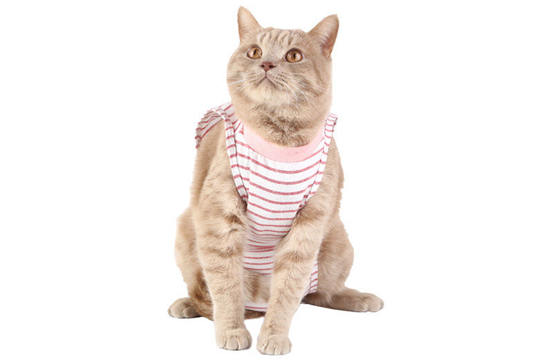 Clothes For Cats