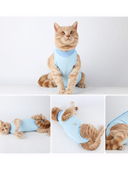 Clothes For Cats