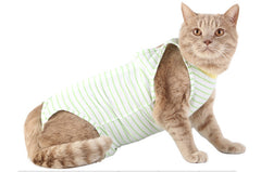 Clothes For Cats