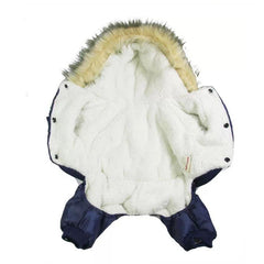 Pet Clothes Winter
