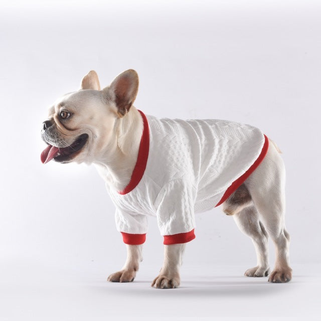Pet base coat