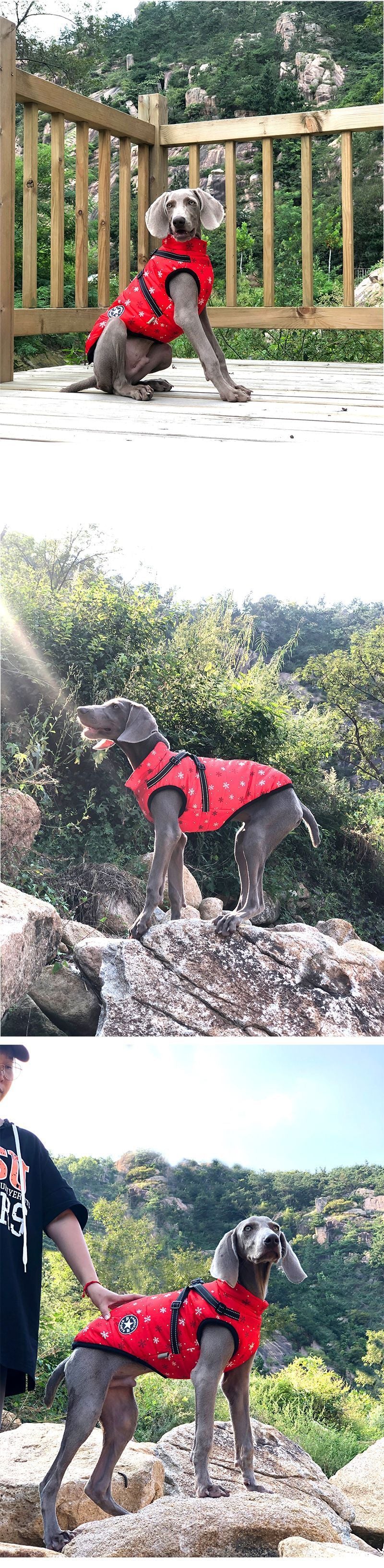 New Pet Reflective Cotton-padded Coat
