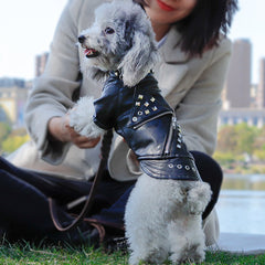 Pet clothes