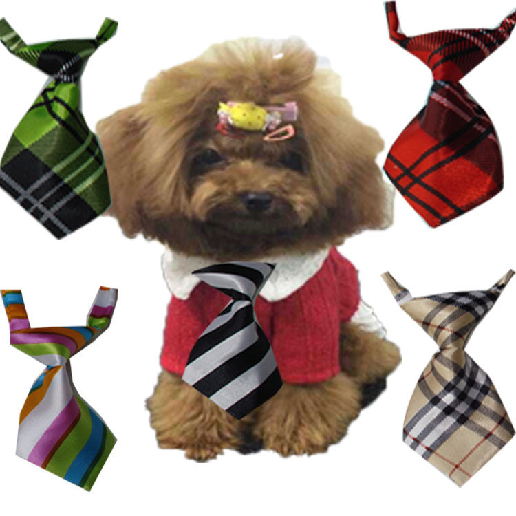 Pet tie