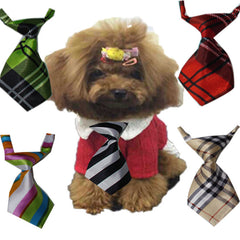 Pet tie