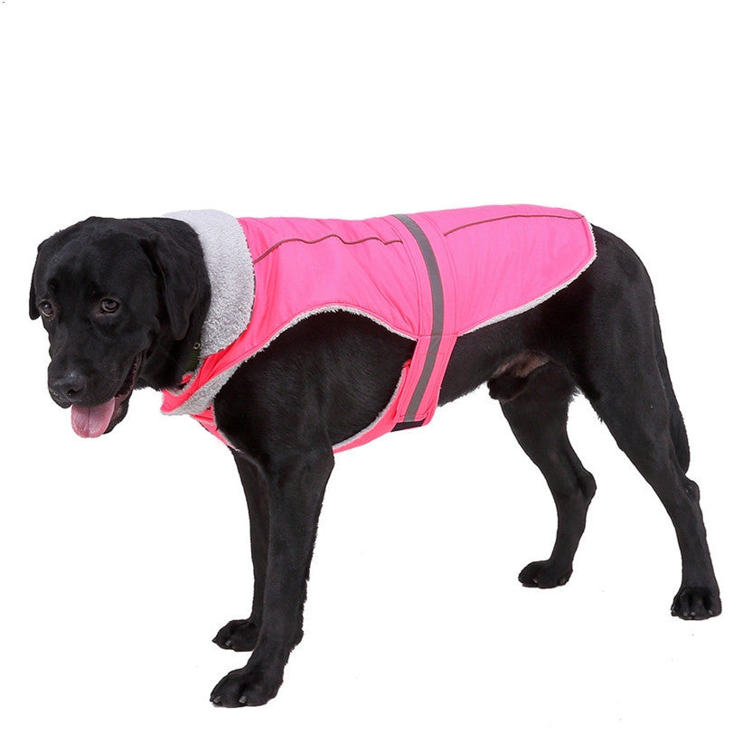 Pet clothes